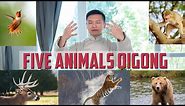 Five Animal Qigong Full Routine