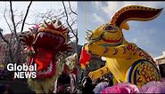 Lunar New Year: Celebrations mark year of the rabbit from China to New York