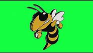 Calhoun High School Yellow Jackets Green Screen Logo Loop Chroma Animation