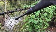 How to clear vines from chain link fence