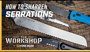 How to Sharpen a Serrated Knife - Can you Sharpen Serrated Knives?