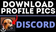 How to Save Discord Profile Picture - Download Discord Profile Pictures