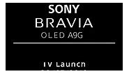 Experts Review on the new Sony BRAVIA OLED A9G