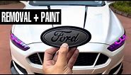 How To CUSTOM Paint Ford Emblems