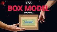 Learn CSS BOX MODEL - With Real World Examples