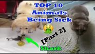 Top 10 Animals Being Sick Part 2 (Animals Throwing Up - Turtles Cats Dog snake Puking)