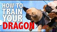 How To Train Your Dragon (Pug Puppy Version)