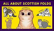 Scottish Fold Cats 10 Fascinating Facts You Need to Know Now