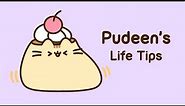 Pusheen: Pudeen's Life Tips