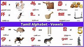 Tamil alphabets | Tamil Vowels | Learn Entry