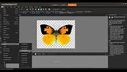 Working with Transparency in Corel PaintShop Pro X6