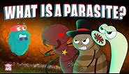 PARASITE | What Is A PARASITE? | Biology For Kids | The Dr Binocs Show | Peekaboo Kidz