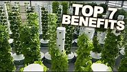 Vertical Farming with Aeroponics: Top 7 Benefits of a Tower Farm