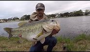 TOP 3 HUGE LARGEMOUTH BASS CAUGHT ON CAMERA! (compilation)