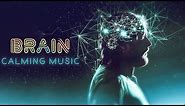 BRAIN CALMING MUSIC || Stress Relief & Nerve Regeneration || Brain Wave Therapy Music
