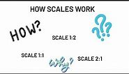 Scales Explained! (For EGD Students)