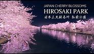 弘前公園 日本一の絶景桜名所 8K Beautiful Cherry Blossoms in Hirosaki Park Japan | 東北の風景 弘前城の夜桜 Sakura Landscape