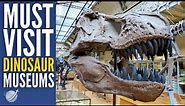 Top 10 Best Dinosaur Museums in the World 2024