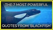 The 7 Most Powerful Quotes From 'Blackfish'