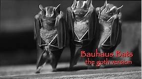 Bauhaus Bats - The Goth Version