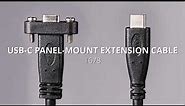 DataPro Panel-Mount USB-C Extension Cable