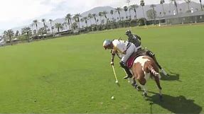 Polo - The Gentlemans' Sport