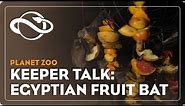 Planet Zoo | Keeper Talk | Egyptian Fruit Bat