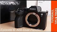 How to activate Anti Dust Function / Closed Shutter in your Sony Alpha 7 IV - Fast & Easy Tutorial