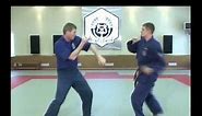 sambo russian fighter techniques