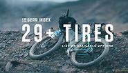 29  Tires: List, Options, and Guide