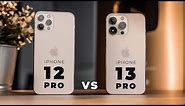 iPhone 13 Pro vs iPhone 12 Pro // Is Cinematic Mode Worth It?