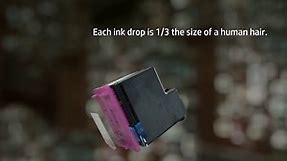 HP 61 Black/Tri-color Ink (2 Pack) | Works with DeskJet 1000, 1010, 1050, 1510, 2050, 2510, 2540, 3000, 3050, 3510; ENVY 4500, 5530; OfficeJet 2620, 4630 | Eligible for Instant Ink | CR259FN