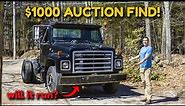 I Bought an International Harvester Medium Duty Truck at Auction for Only $1000!