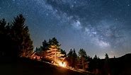 Milky Way over Forest