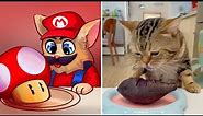 😂Cat Memes: Mario Cat 👻 FUNNY HALLOWEEN ANIMALS 🎃