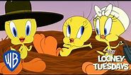 Looney Tuesdays | Best of Tweety from Looney Tunes Cartoons | Looney Tunes | @WB Kids