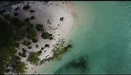 Swimming Pigs | Exuma, Bahamas