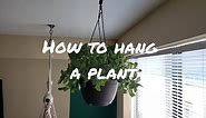 How To Hang A Plant Easy DIY (large ceiling hook aka swag hook)