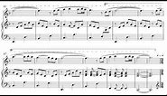 Herman Beeftink - "Spring" SheetMusic (flute and piano)