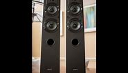 Sony SSCS3 Tower Speaker Review - Nope