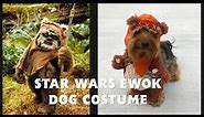 STAR WARS EWOK DOG COSTUME | Dog Halloween Costumes Star Wars Dog Costumes