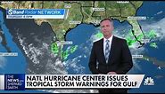 National Hurricane Center issues tropical storm warnings for Gulf of Mexico