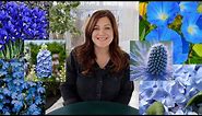20+ Plants With Blue Flowers! 💙💙💙// Garden Answer