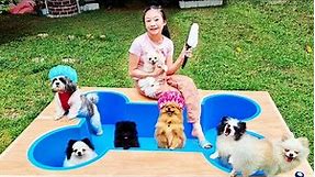 Puppy Soccer & Spa Day! Dog Bathing and Grooming! | Little Big Toys