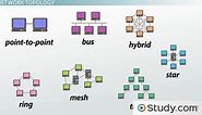 How Star, Bus, Ring & Mesh Topology Connect Computer Networks in Organizations