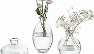 Glasseam Gold Rim Glass Bud Vase, 3Pcs/Set Modern Decorative Small Mini Flowers Vases Short Minimalist Aesthetic Home Decor Vintage Cute Handmade Tiny Wedding Table Centerpieces for Single Flower Rose