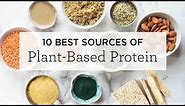 10 BEST Plant-Based Protein Sources (+ a FREE printable!)
