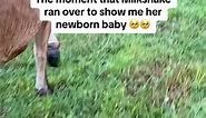 This just warmed my heart ❤️ This was the first farm birth that I’ve ever missed but I rushed home #animals #cute #pets #goats #dogs #adorable #cats #Deer #reelsfypシanimals | Lovely Animals