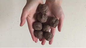 Seed Bombs 101: Learn how to make seed bombs at home