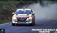 PEUGEOT 208 RALLY 4 TRIBUTE | 3 CYLINDERS 1.2 TURBO RALLY SOUND! [HD]